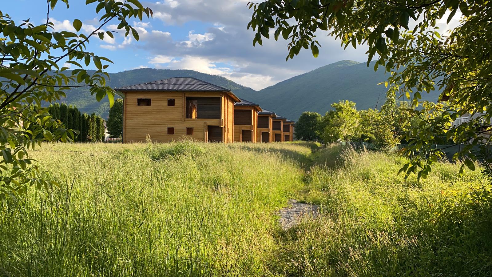 Modern wooden homes with beautiful landscaping